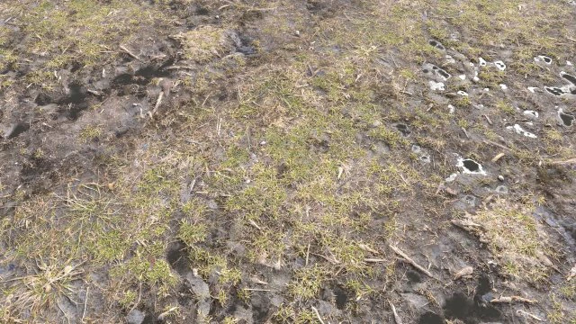 dirty terrain pbr pack 2 CG Textures .c4d .max .obj .3ds .fbx .stl .blend 