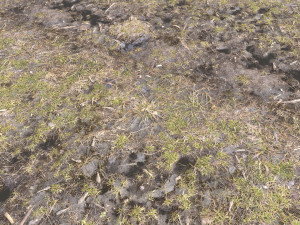 dirty terrain pbr pack 2 CG Textures
