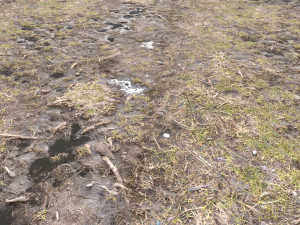 dirty terrain pbr pack 2 CG Textures