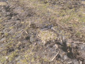 dirty terrain pbr pack 2 CG Textures