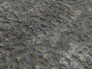 dirty terrain pbr pack 2 CG Textures