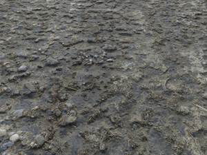 dirty terrain pbr pack 2 CG Textures