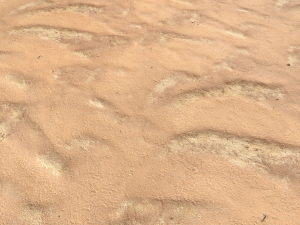 desert wasteland ground pbr pack 10 CG Textures