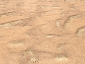 desert wasteland ground pbr pack 10 CG Textures