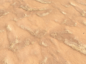 desert wasteland ground pbr pack 10 CG Textures
