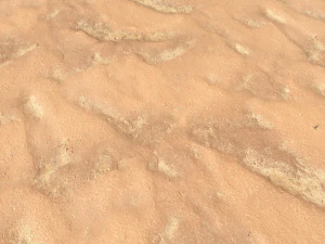 desert wasteland ground pbr pack 10 CG Textures