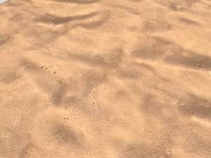 desert wasteland ground pbr pack 10 CG Textures