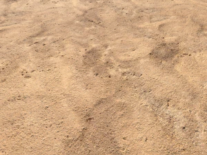 desert wasteland ground pbr pack 10 CG Textures