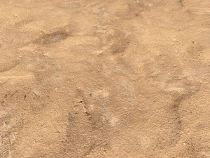 desert wasteland ground pbr pack 10 CG Textures