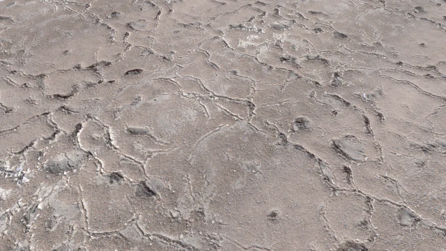 desert wasteland ground pbr pack 11 CG Textures .c4d .max .obj .3ds .fbx .stl .blend 