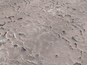 desert wasteland ground pbr pack 11 CG Textures