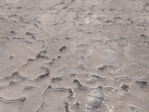 desert wasteland ground pbr pack 11 Tekstur CG