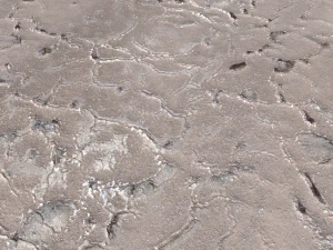 desert wasteland ground pbr pack 11 CG Textures