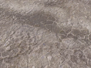 desert wasteland ground pbr pack 11 CG Textures