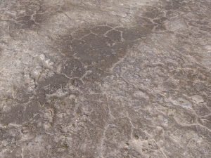 desert wasteland ground pbr pack 11 Tekstur CG