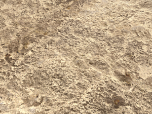 desert wasteland ground pbr pack 11 Tekstur CG