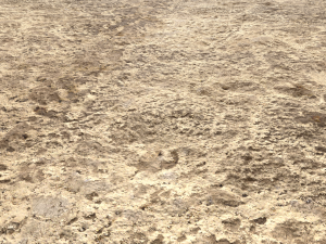 desert wasteland ground pbr pack 11 Tekstur CG