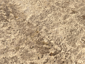 desert wasteland ground pbr pack 11 Tekstur CG