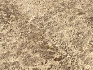 desert wasteland ground pbr pack 11 CG Textures