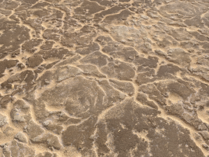 desert wasteland ground pbr pack 11 Tekstur CG