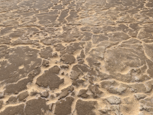 desert wasteland ground pbr pack 11 Tekstur CG