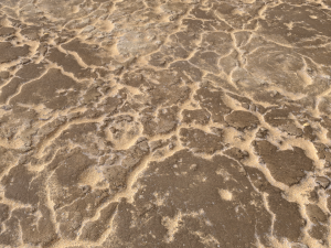 desert wasteland ground pbr pack 11 Tekstur CG