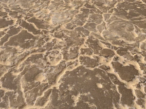 desert wasteland ground pbr pack 11 CG Textures