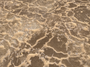 desert wasteland ground pbr pack 11 Tekstur CG