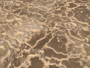 desert wasteland ground pbr pack 11 CG Textures
