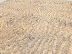 desert wasteland ground pbr pack 8 textures CG Textures