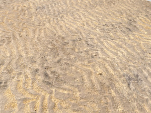 desert wasteland ground pbr pack 8 textures Texturas CG
