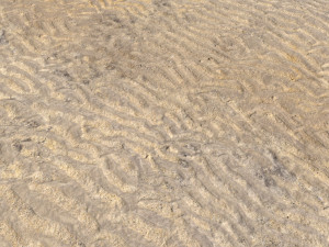 desert wasteland ground pbr pack 8 textures Texturas CG