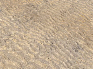 desert wasteland ground pbr pack 8 textures CG Textures