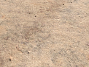 desert wasteland ground pbr pack 8 textures Texturas CG