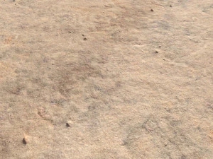 desert wasteland ground pbr pack 8 textures CG Textures