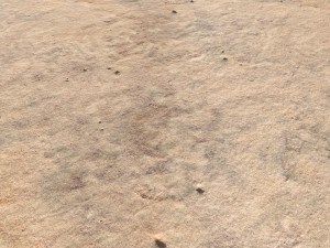 desert wasteland ground pbr pack 8 textures Texturas CG