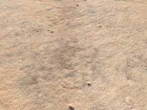 desert wasteland ground pbr pack 8 textures CG Textures