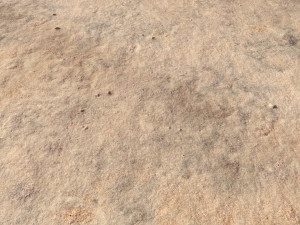 desert wasteland ground pbr pack 8 textures Texturas CG