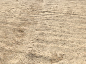 desert wasteland ground pbr pack 8 textures Texturas CG