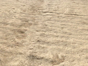 desert wasteland ground pbr pack 8 textures CG Textures