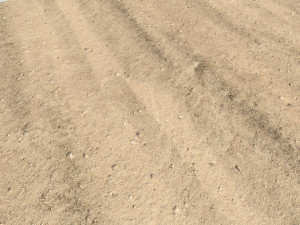 desert wasteland ground pbr pack 8 textures Texturas CG