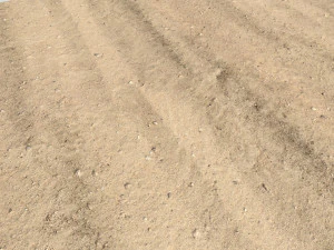 desert wasteland ground pbr pack 8 textures CG Textures