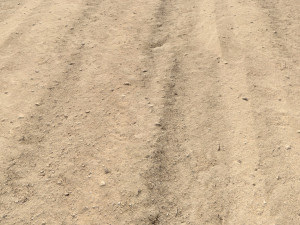 desert wasteland ground pbr pack 8 textures Texturas CG