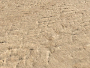 deserto terreno baldio pbr pacote 9 Texturas CG