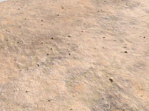 desert wasteland ground pbr pack 9 CG Textures