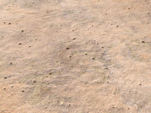 desert wasteland ground pbr pack 9 Texturas CG