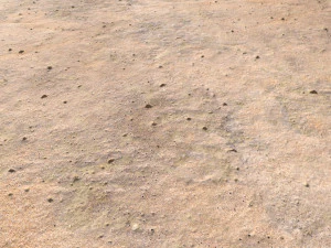 desert wasteland ground pbr pack 9 CG Textures