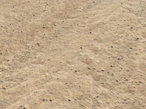 desert wasteland ground pbr pack 9 CG Textures