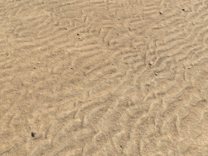 desert wasteland ground pbr pack 9 Texturas CG