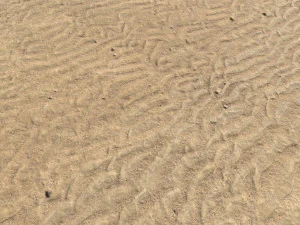desert wasteland ground pbr pack 9 CG Textures